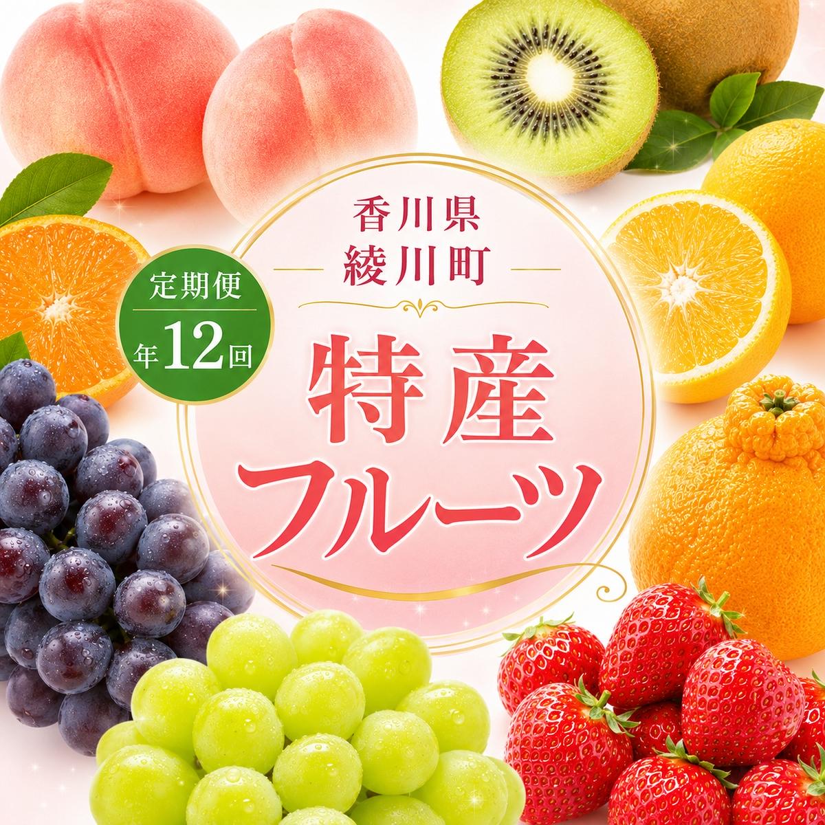 特産　フルーツ　定期便（年12回） 香緑キウイ さぬきひめいちご しらぬひ 貯蔵 デコポン 