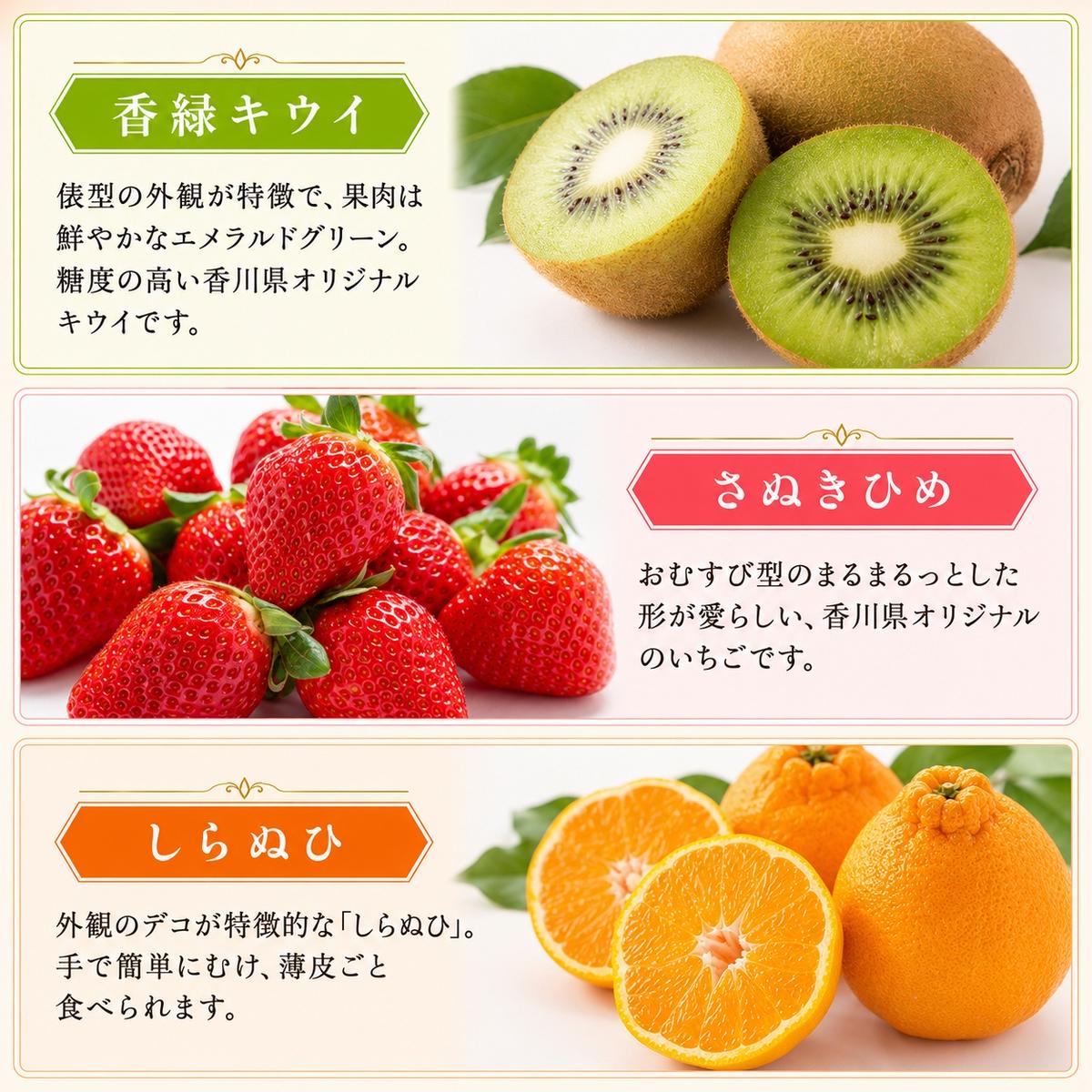 特産　フルーツ　定期便（年12回） 香緑キウイ さぬきひめいちご しらぬひ 貯蔵 デコポン 