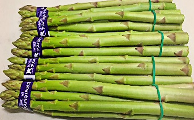 香川県オリジナルアスパラガス「さぬきのめざめ」春芽　約500g 野菜 