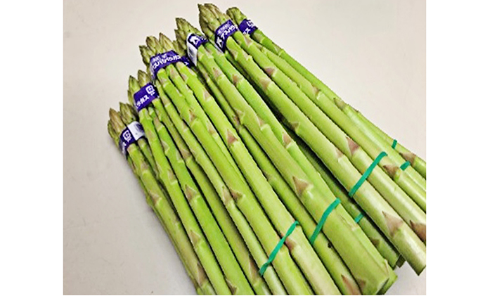 香川県オリジナルアスパラガス「さぬきのめざめ」春芽　約1.5kg 野菜