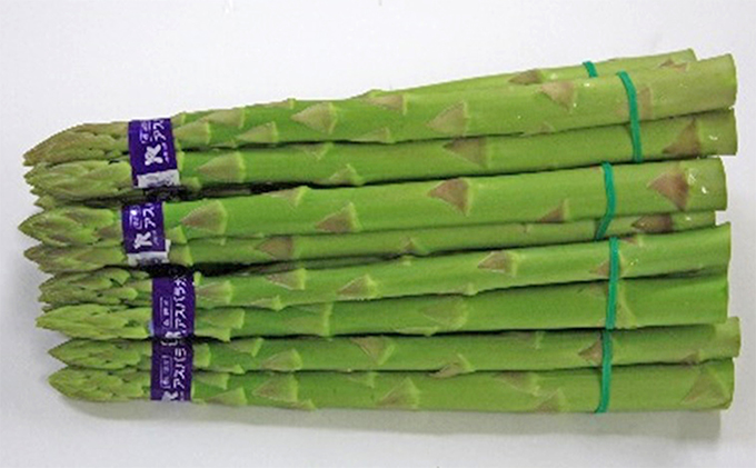 香川県オリジナルアスパラガス「さぬきのめざめ」夏芽　約700g 野菜