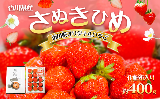 【1月から順次発送】さぬきひめ苺（化粧箱入り） 果物類 いちご イチゴ