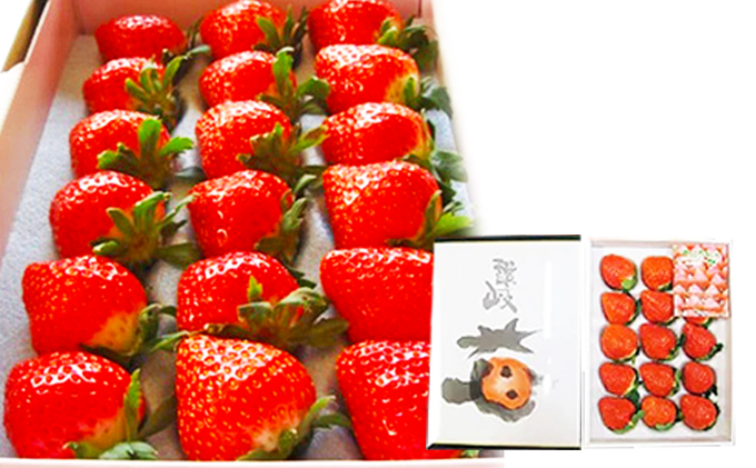 【1月から順次発送】さぬきひめ苺（化粧箱入り） 果物類 いちご イチゴ 