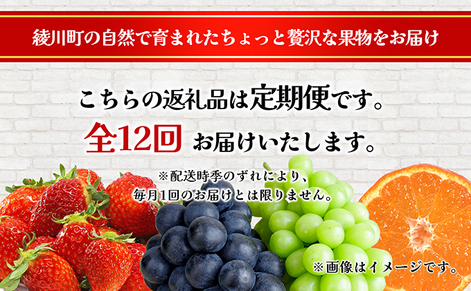ちょっと贅沢な　綾川町いいものフルーツ定期便（年間12回） 果物 いちご ぶどう シャインマスカット キウイ デコポン びわ みかん ピオーネ ゴールドキウイ 柿 