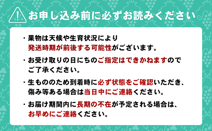ちょっと贅沢な　綾川町いいものフルーツ定期便（年間12回） 果物 いちご ぶどう シャインマスカット キウイ デコポン びわ みかん ピオーネ ゴールドキウイ 柿 