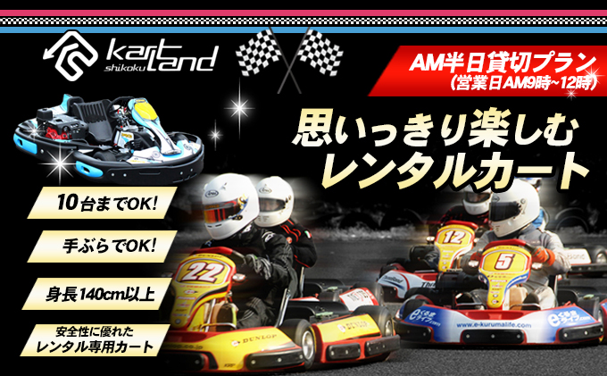 思いっきり楽しむレンタルカート　AM半日貸切プラン(営業日AM9時～12時　10台まで) 体験 チケット レジャー サーキット レーシング 大人 子供 最高速度60～70km カートランド四国
