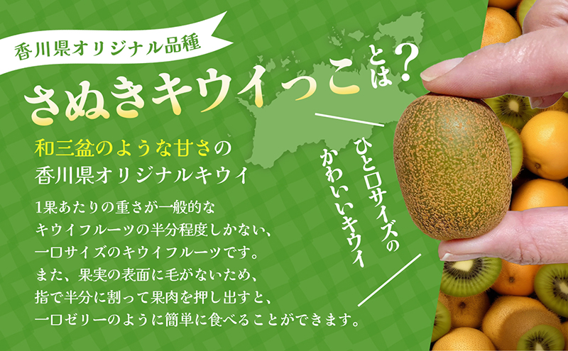 さぬきキウイっこ　約800g_キウイフルーツ 果物詰合せ くだもの 