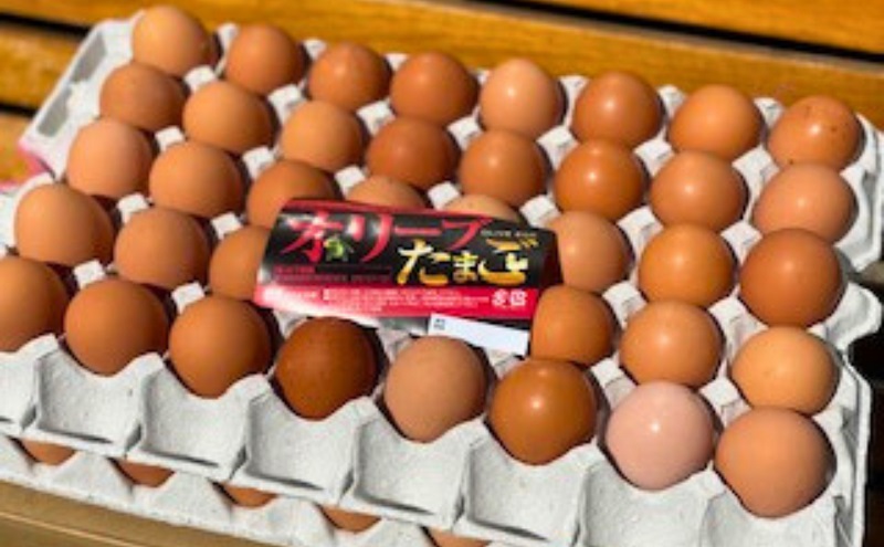 オリーブたまご80個　オリーブ飼料を食べて健康に育った鶏さんからの贈り物 