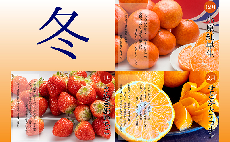 【全6回】綾川町のいいとこどり定期便（7・8・9・12・1・2月発送） 