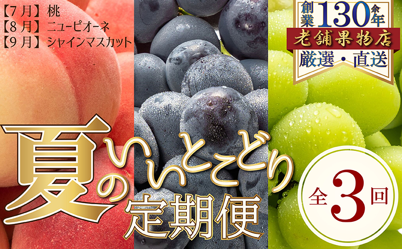 【全3回】夏のいいとこどり定期便（7・8・9月発送）