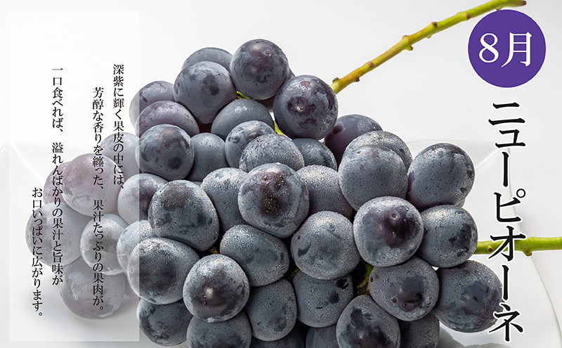 【全3回】夏のいいとこどり定期便（7・8・9月発送） 