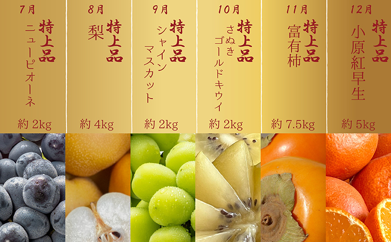 【12ヶ月連続定期便】<プレミアム等級選果>綾川町の春夏秋冬！旬果実の単品定期便 