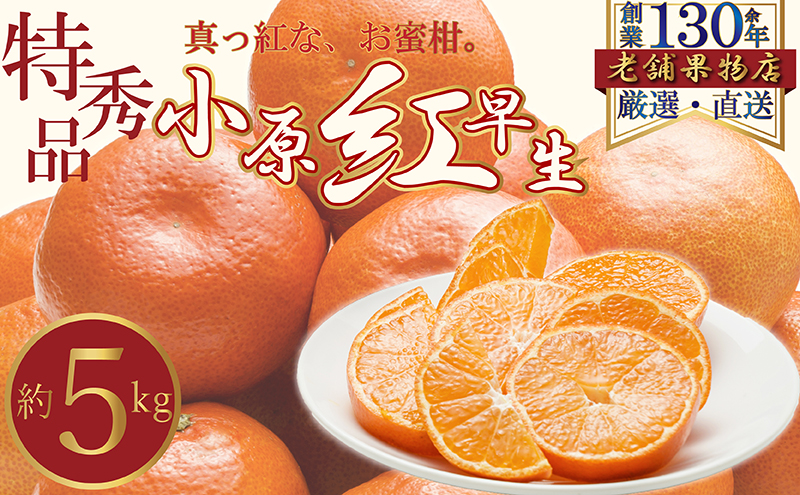 特秀品！真っ赤なお蜜柑「小原紅早生」　約5kg