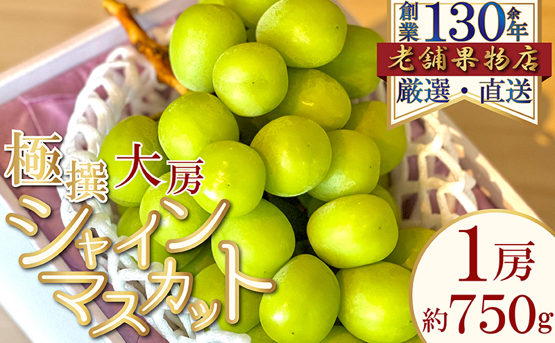 極撰！大房シャインマスカット　1房(約750g)