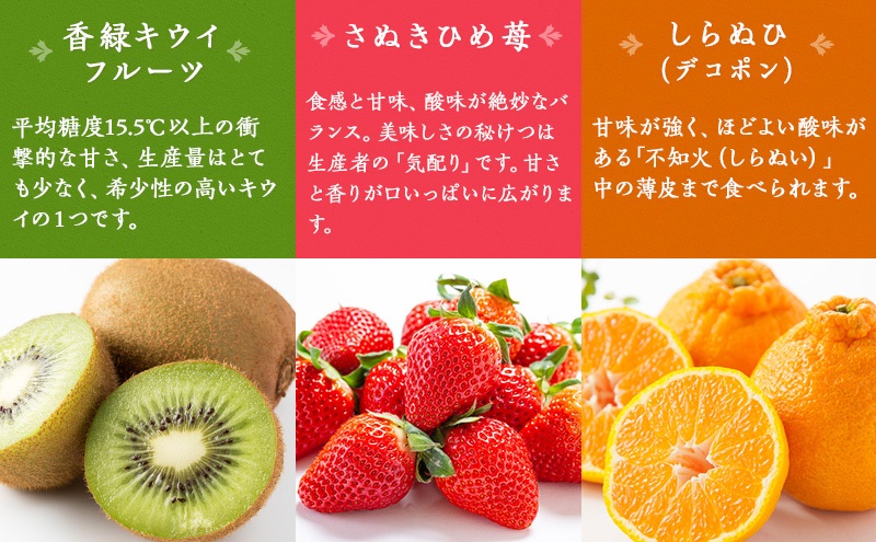 綾川町お勧めフルーツ定期便（年間12回） いちご びわ 桃 ピオーネ シャインマスカット デコポン 柿 キウイ 12