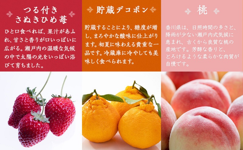 綾川町お勧めフルーツ定期便（年間12回） いちご びわ 桃 ピオーネ シャインマスカット デコポン 柿 キウイ 12