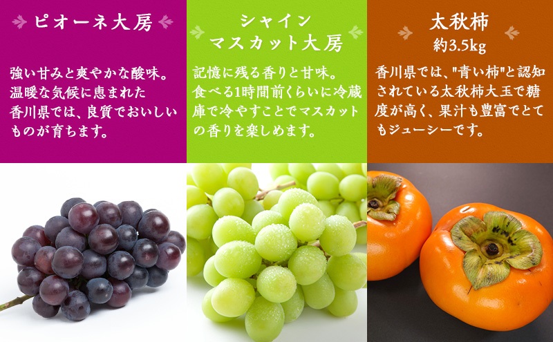 綾川町お勧めフルーツ定期便（年間12回） いちご びわ 桃 ピオーネ シャインマスカット デコポン 柿 キウイ 12