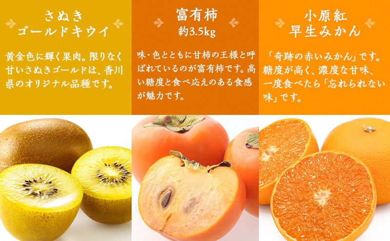 綾川町お勧めフルーツ定期便（年間12回） いちご びわ 桃 ピオーネ シャインマスカット デコポン 柿 キウイ 12