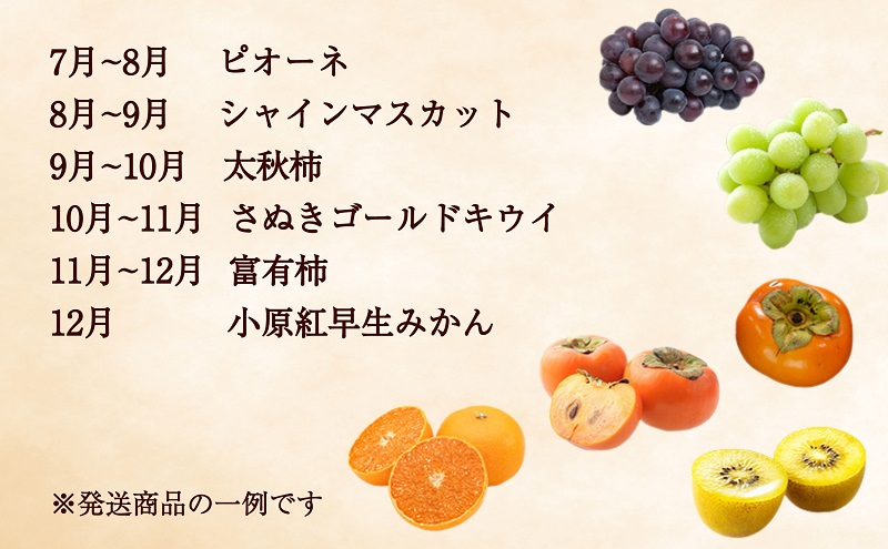綾川町お勧めフルーツ定期便（年間12回） いちご びわ 桃 ピオーネ シャインマスカット デコポン 柿 キウイ 12