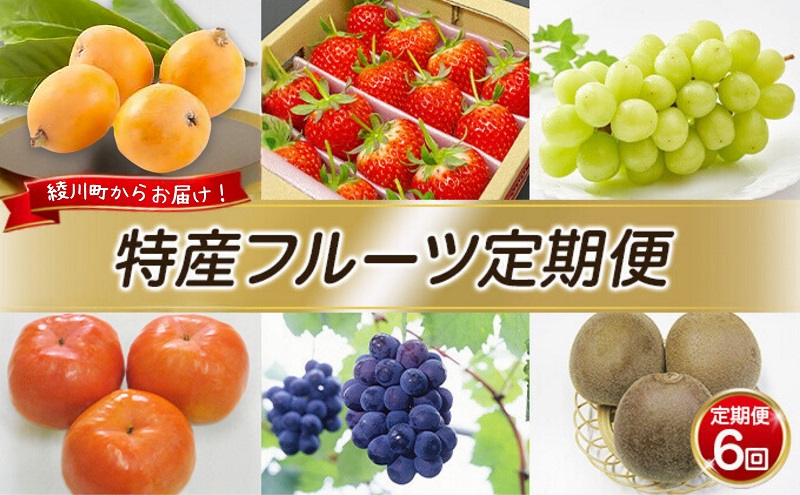 特産 フルーツ 定期便（年6回） いちご びわ ピオーネ シャインマスカット 柿 キウイ ぶどう 香川 6 季節 旬