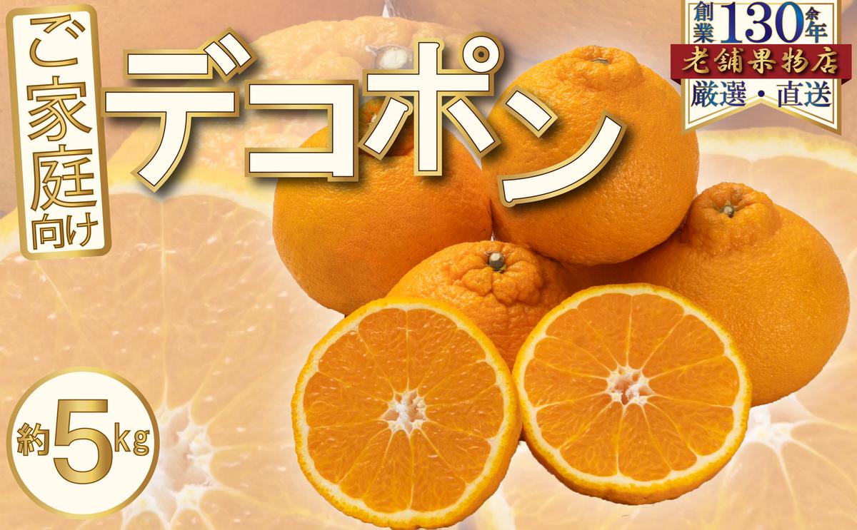 ご家庭向け！濃厚甘味のぷりっぷり「デコポン」　約5kg