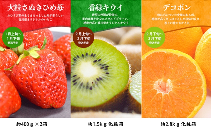 ちょっと贅沢な　綾川町いいものフルーツ定期便（年間12回） 果物 いちご ぶどう シャインマスカット キウイ デコポン びわ みかん ピオーネ ゴールドキウイ 柿 