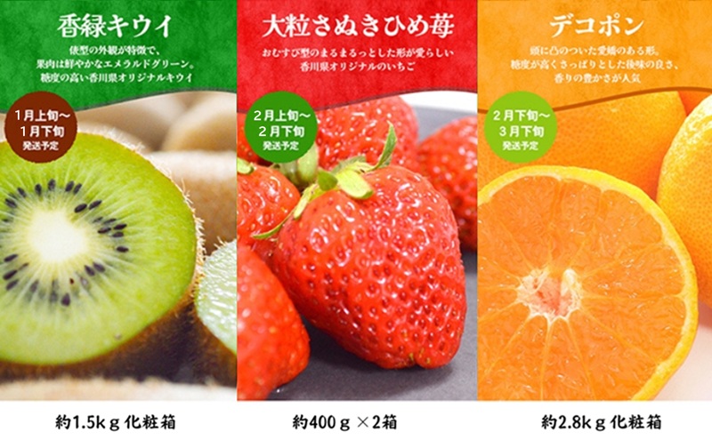 ちょっと贅沢な　綾川町いいものフルーツ定期便（年間12回） 果物 いちご ぶどう シャインマスカット キウイ デコポン びわ みかん ピオーネ ゴールドキウイ 柿 