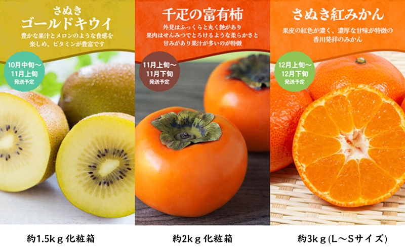 ちょっと贅沢な　綾川町いいものフルーツ定期便（年間12回） 果物 いちご ぶどう シャインマスカット キウイ デコポン びわ みかん ピオーネ ゴールドキウイ 柿 