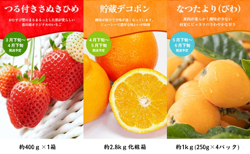 ちょっと贅沢な　綾川町いいものフルーツ定期便（年間12回） 果物 いちご ぶどう シャインマスカット キウイ デコポン びわ みかん ピオーネ ゴールドキウイ 柿 