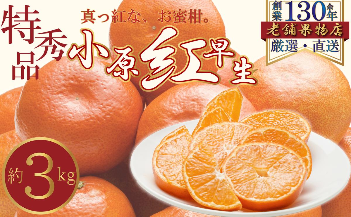 特秀品！真っ赤なお蜜柑「小原紅早生」　約3kg