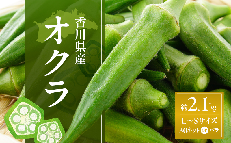 オクラ 約2.1kg (L～Sサイズ) 30ネットまたはバラ詰め 野菜