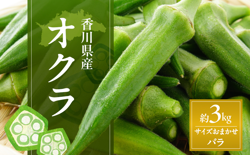 オクラ 約3kg バラ (サイズおかませ) 野菜