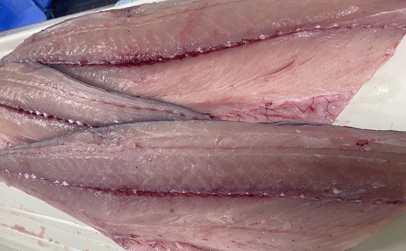 新鮮 とれたて 香川県産 特大さわら(片身) 1.0kg以上 さわら サワラ 鰆 魚 魚介 魚介類 切り身 片身 冷蔵 香川 香川県