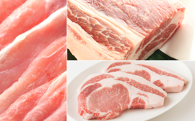 讃岐もち豚 ローススライス1kg・ブロック4kgセット お肉 豚肉