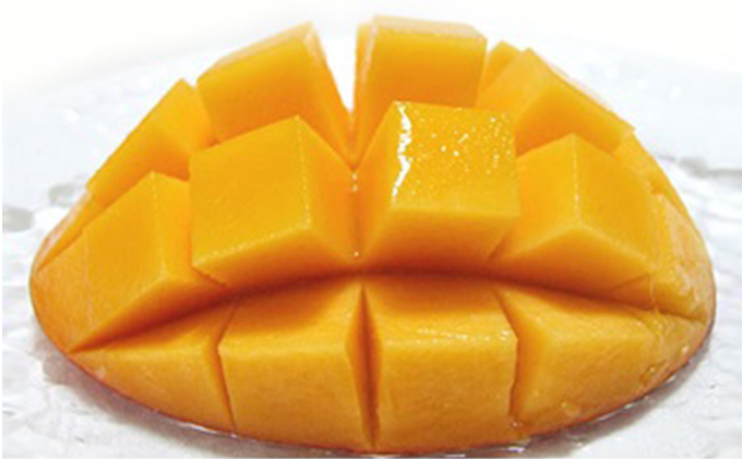 綾川町産　さぬき完熟マンゴー 2玉入 厳選糖度15度以上 果物 フルーツ