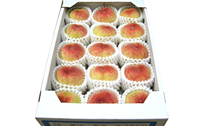 邯セ蟾晉伴逕」縲譯 邏3.4kg