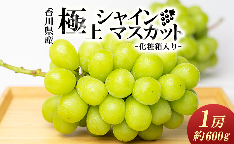 綾川町産　極上シャインマスカット　大房1房（化粧箱入り） 果物 ぶどう フルーツ 葡萄 シャインマスカット