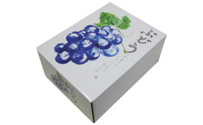 大粒で濃厚な甘み「ピオーネ」　2房（化粧箱入り）約１kg