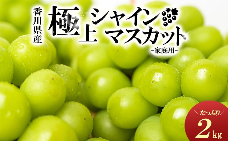 シャインマスカット　たっぷり約2kg