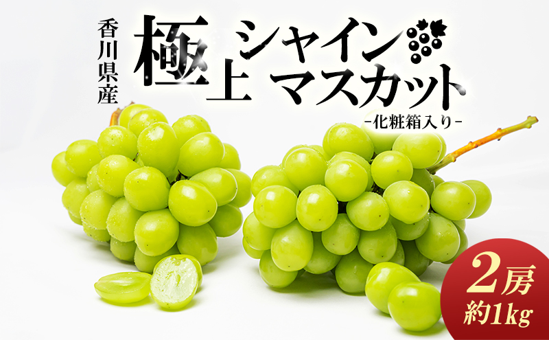 綾川町産　極上シャインマスカット　2房（化粧箱入り）約1kg 果物 ぶどう フルーツ 葡萄 種なし