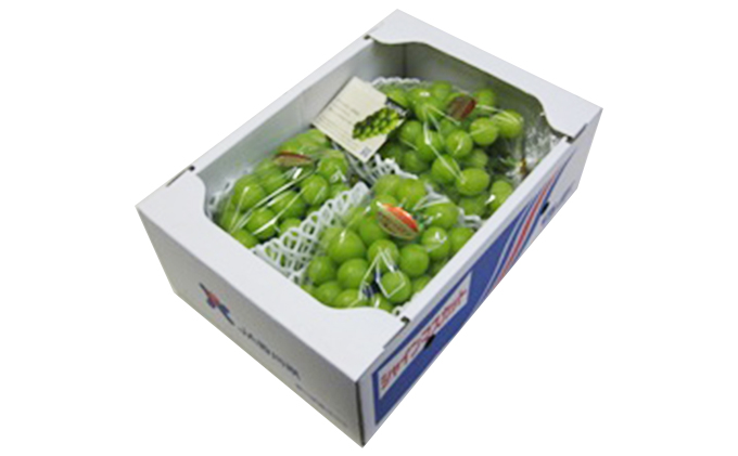 邯セ蟾晉伴逕」縲繧キ繝」繧、繝ウ繝槭せ繧ォ繝繝医縺溘▲縺キ繧顔エ2kg 譫懃黄 縺カ縺ゥ縺 繝輔Ν繝シ繝 闡。關 遞ョ縺ェ縺