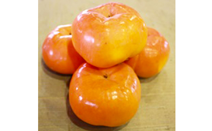 一足早く味わえる甘柿　早秋柿（そうしゅうがき） 果物類