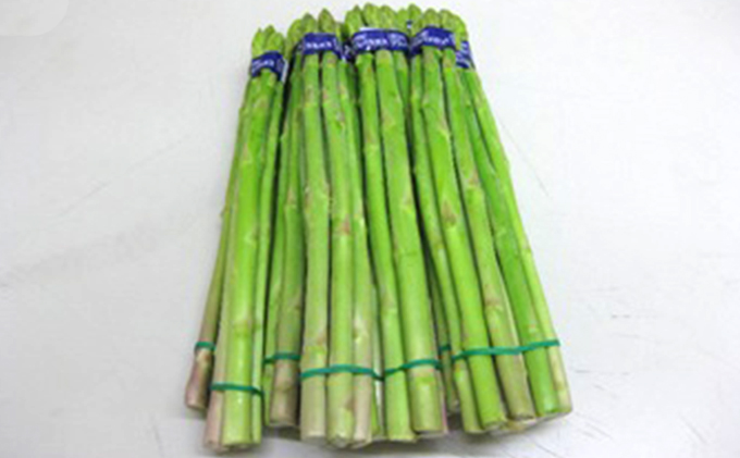 香川県オリジナルアスパラガス「さぬきのめざめ」夏芽 約1.5kg 野菜 
