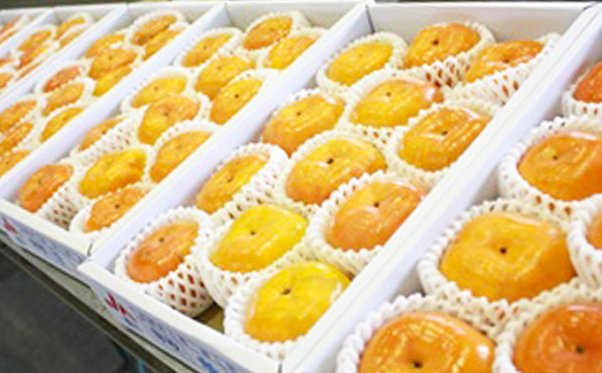 一足早く味わえる甘柿　早秋柿（そうしゅうがき） 果物類 