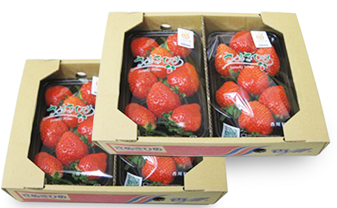 さぬきひめ苺 約1kg 果物類 いちご イチゴ