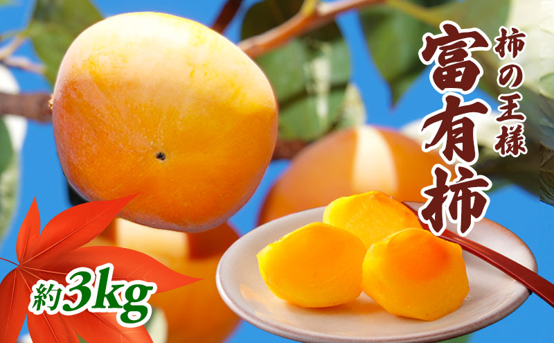 柿の王様 富有柿 3kg 果物類 
