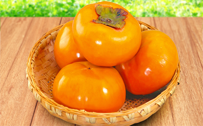 特選 袋掛け富有柿 果物類