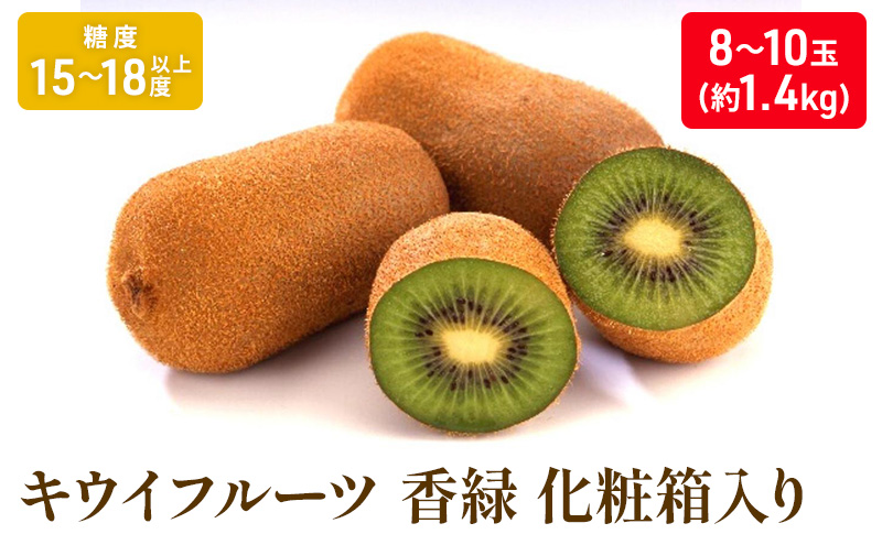 キウイフルーツ「香緑」約1.4kg化粧箱_キウイフルーツ 果物詰合せ くだもの