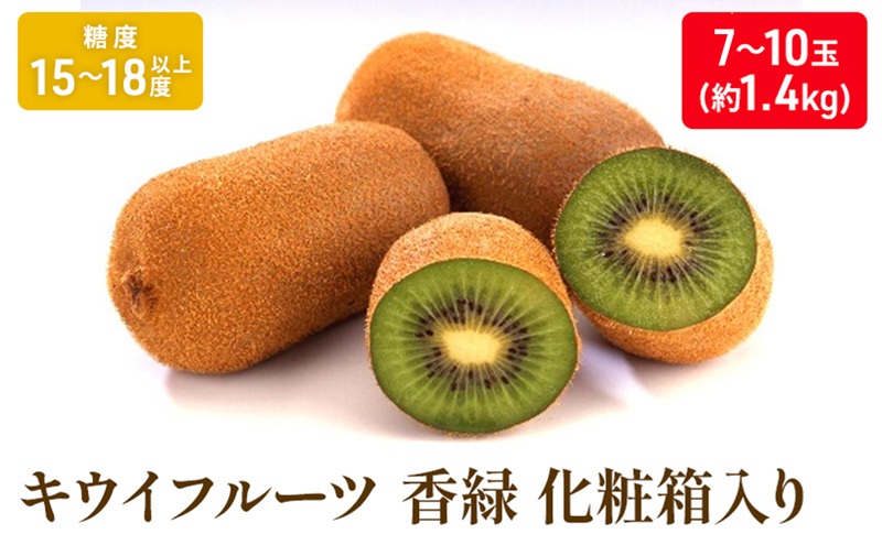キウイフルーツ「香緑」約1.4kg化粧箱_キウイフルーツ 果物詰合せ くだもの
