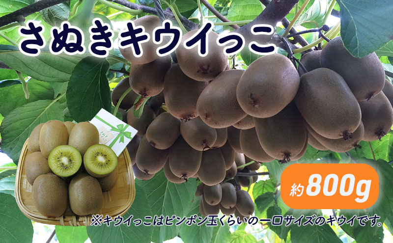 さぬきキウイっこ　約800g_キウイフルーツ 果物詰合せ くだもの
